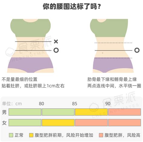 臀圍標準女|完美身材比例1：腰、臀比例